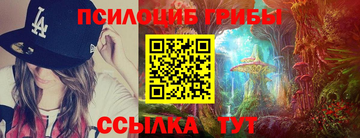 Псилоцибиновые грибы Psilocybine cubensis Химки
